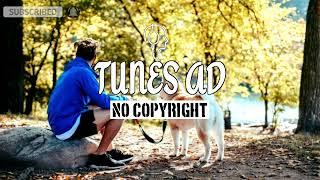 Stroll - Ikson (No Copyright Music) #tunesadmusic#vlogmusic#royaltyfreemusic#audiolibrary