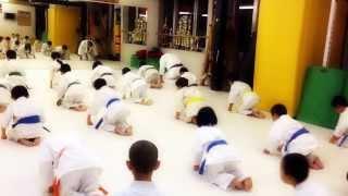 Kawaguchi Dojo , Kids class