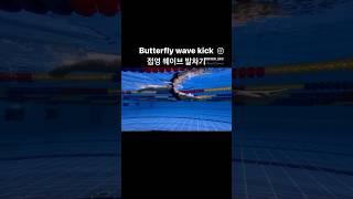 Butterfly wave kick  접영 웨이브 발차기⭐️  *접영의 제일 중요한 기초! 웨이브 발차기만 제대로 차줘도 쉬운 접영을 할 수 있답니다