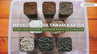 MERACIK MEDIA TANAM KAKTUS PREMIUM