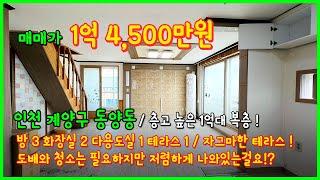 [인천복층빌라](4-235) 층고 높은 1억대 복층! 길쭉한 테라스도 있고 도배, 청소는 필요하지만 저렴하잖아요  인천 계양구 동양동 당산초인근 [동양동빌라]