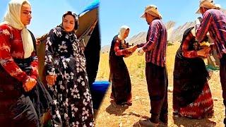 "Masoumeh's Return to the Mountains; A Story of Pain, Hope, and Poverty"