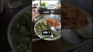 What 2 Weeks Of Muay Thai Camp Costs