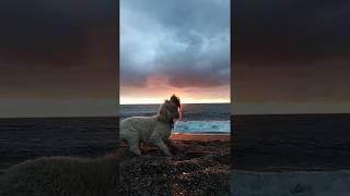 Beach Walks on the island of Ireland