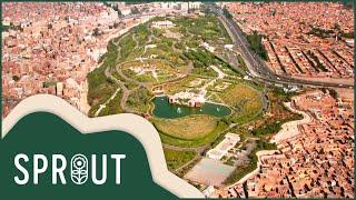 Unlocking the Beauty of Al Azhar Park | Garden Design | Sprout