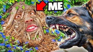 I Used Master Camouflage to Escape a Police K9 – Will It Work?