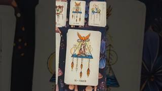 Elemental North Tarot #tarot