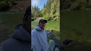 We found some quartz #rocks #rockhound #outdoors #nature #explore #river #pnw #vlog