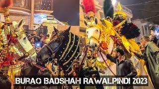 Buraq Badshah Biggest Zuljanah in  Pakistan | Baramdgi 2023  سالانہ مجلس راولپنڈی