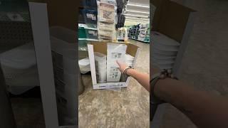 DOLLAR TREE sells THAT?!  NEW organization line 