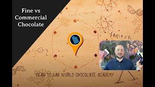 Fine bean-to-bar chocolate versus commercial grocery store chocolate