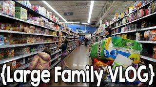 Huge $1000 Walmart Shopping Trip!