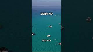 노화를 늦추는 장수식단 5가지, 지중해 식단이 핫한 이유