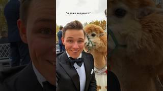 КЛАССНАЯ ИДЕЯ ДЛЯ СВАДЬБЫ #ведущий #ровинский #блогер #шоумен #свадьба #идея #креатив #праздник