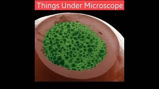 Things Under Microscope Part 1 #india #airbone #fact