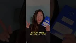 Кот получил Европейский паспорт - а ты нет 