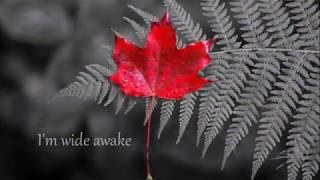 EMBRACE -WAKE UP CALL - with lyrics