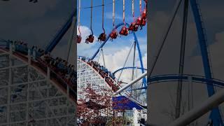 #shorts Racer Roller Coaster Wind Seeker Orion Kings Island Amusement Park #vacation #fun #amusement