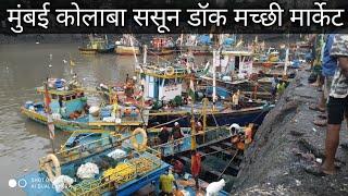 Mumbai Colaba Machhi Market 2022 Sasoon Dock Vlog