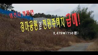 (No307)경마공원 부근 영천시 청통면 전원주택지 급매!