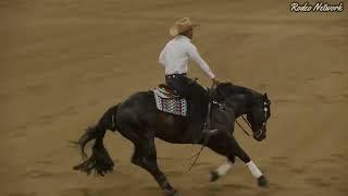 Matt Mills Reining Horses at the Cactus Reining, Classic Run For A Million qualifier!!!