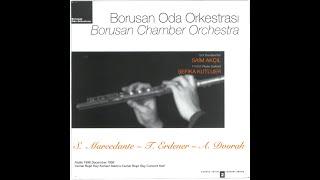 Şefika Kutluer plays Turgay Erdener Concerto for Flute and Strings “Green Dreams”