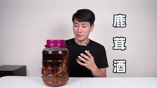 花3000元多泡的鹿茸酒，靓仔花一个星期测试喝了有没效果？最后他这样说【探索吧芋圓】