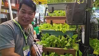 AGRILINK 2024, URBAN GARDENING SET UP, ONE STOP SHOP NA GAMIT SA PAGSASAKA #gardening