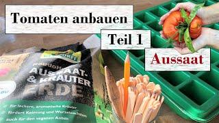 Tomaten anbauen Teil 1:  Aussaat  Tipps für eine erfolgreiche Anzucht & so säe ich Tomaten aus