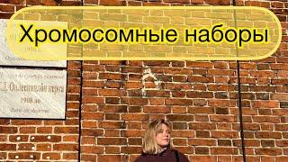 Определяем хромосомные наборы клеток