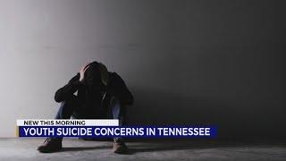 Young suicide concerns in Tennessee