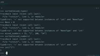 Common Issues with Sorting in Python