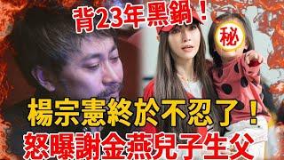 楊宗憲終於不忍了！怒曝謝金燕隱藏23年兒子生父，當年與謝金燕分手真相太驚人#楊宗憲 #謝金燕 #豬哥亮 #茶娛飯後