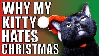 Why my kitty cat hates Christmas