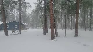 Embracing the Second Snow: A Symphony of Stillness in Pinetop-Lakeside, AZ ️