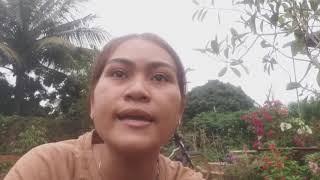 Giới thiệu về cây nha đam | Hà phương kute vlogs