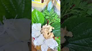 Sức khoẻ luôn được ưu tiên hàng đầu #botngamchanthaoduoc #suckhoe #tochico #chamsocgiadinh