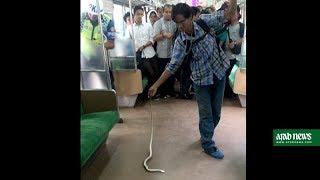 Indonesian man kills snake on train with bare hands