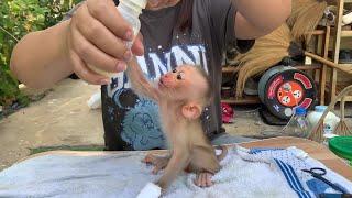 Mom, Milk Please! FiFi’s Adorable Request 