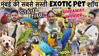 Start ₹150/-| Cheapest pet shop in Mumbai | giveaway winner | cheapest Pet market | Wajid pet shop
