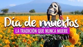 ATLIXCO: DÍA DE MUERTOS EN PUEBLA. La tradición que nunca muere.