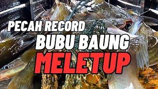 BUBU IKAN BAUNG MELETUP LAGI.42kg Hasil 2biji Bubu #vlog71 #unlimitedhobby #unlimitedfishing