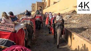 Amber Fort Elephant Ride - Jaipur - India 4K