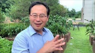 [옥상텃밭 옥상정원] 옥상에 구현된 빗물활용 자동관수 옥상녹화시스템 _ 빗물저금통, 빗물화분, 서울시농업기술센터