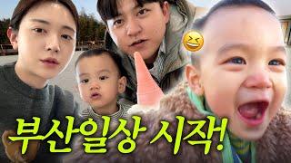 [VLOG] 일주일간의 부산살이 시작! 시트콤 같은 가족 일상