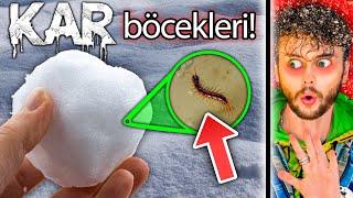 DO NOT EAT SNOW BUGS! (TikTok Life Hacks)