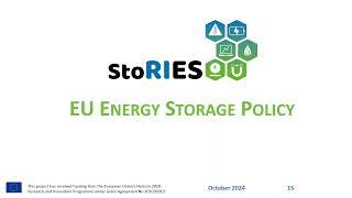 Jacopo Tosoni & Carolina Cruz – Energy Storage Legislation Across Europe