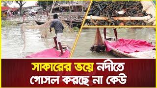 নদীতে বিষাক্ত সাকার, গোসল করতেও ভয় | Sucker fish in buriganga river | predator fish