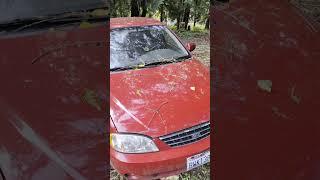 2004 Kia Spectra: The Way Only Is Forward Or? #kia #hyundai #DIY #reels #shorts #pnw #fail #ytshorts