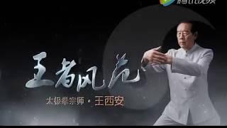 王者風範王西安大師 - Grandmaster Wang Xi'an